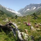 Fafleralp, Lötschental/CH