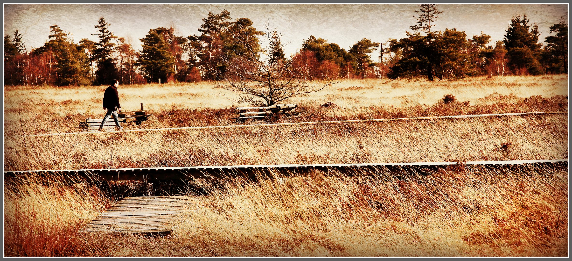 Fagne Malchamps, Spa, Belgium