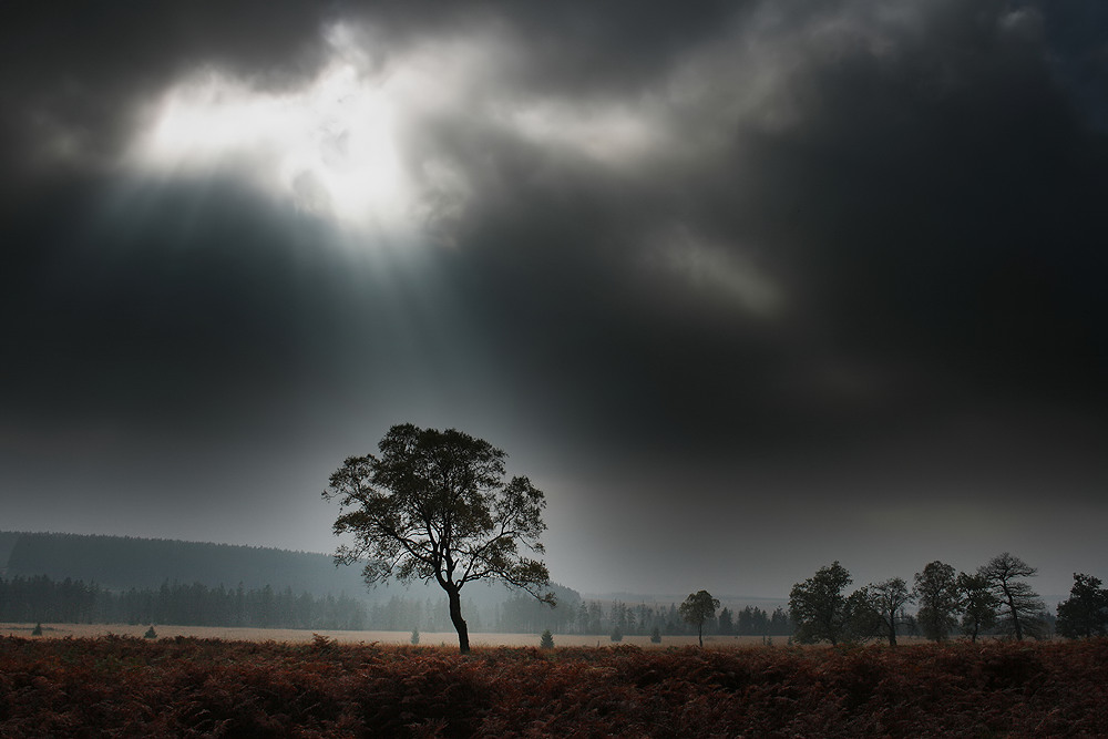 ~ fagnes mystiques ~