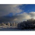 Fagnes tourmentées