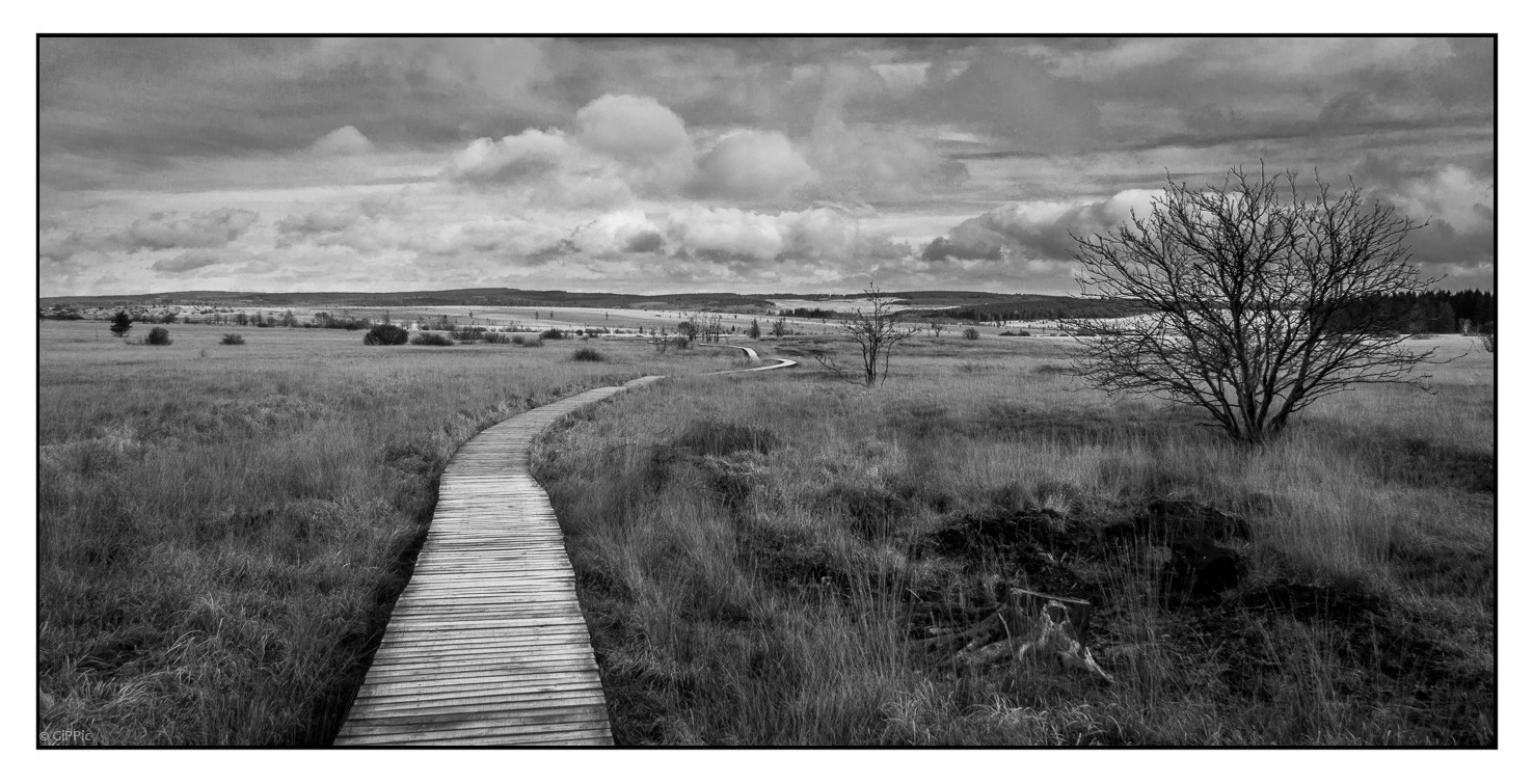 Fagnes - Venn