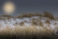 fahle Sonne über den schneebedeckten Dünen