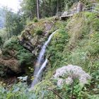 Fahler Wasserfälle am Feldberg