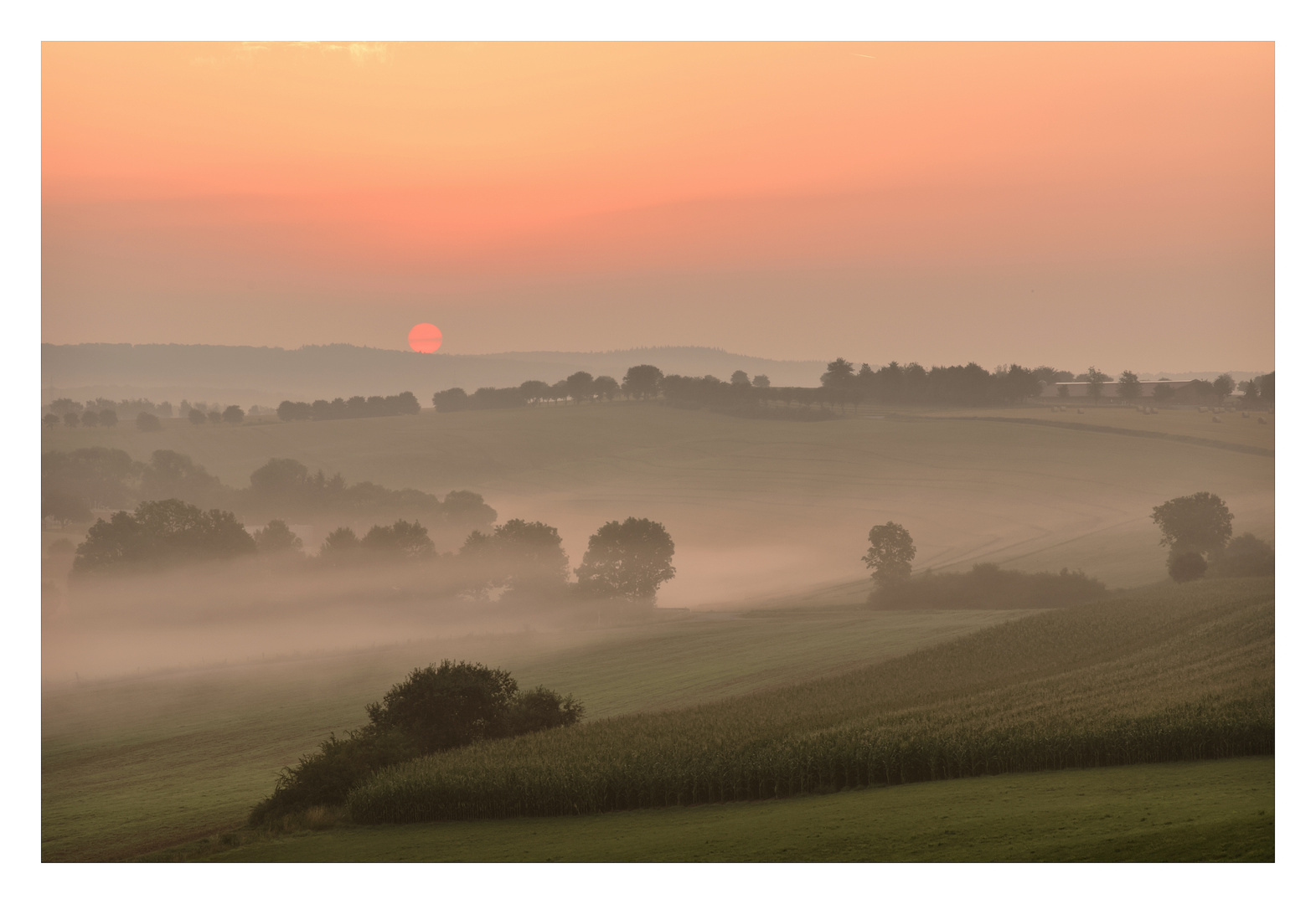 Fahles Sonnenlicht