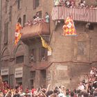 Fahnenschwinger beim Palio in Siena 2009