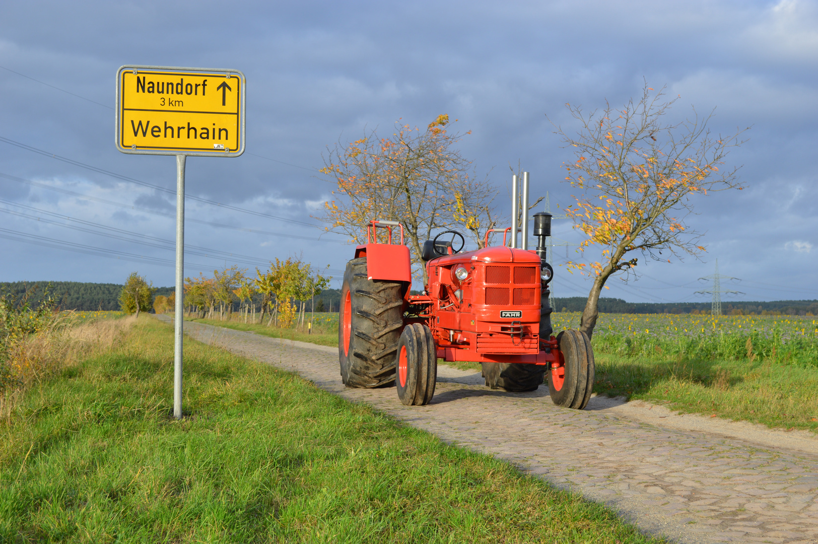 Fahr D800 goldener Herbst 2016