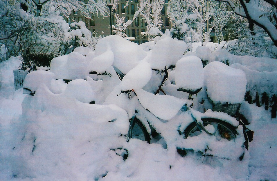 Fahrad im Schnee