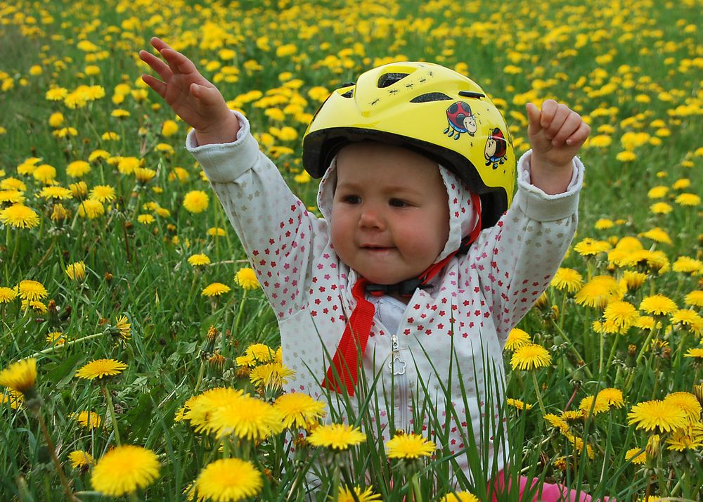 Fahradtour von Tobias M. Lehmann 