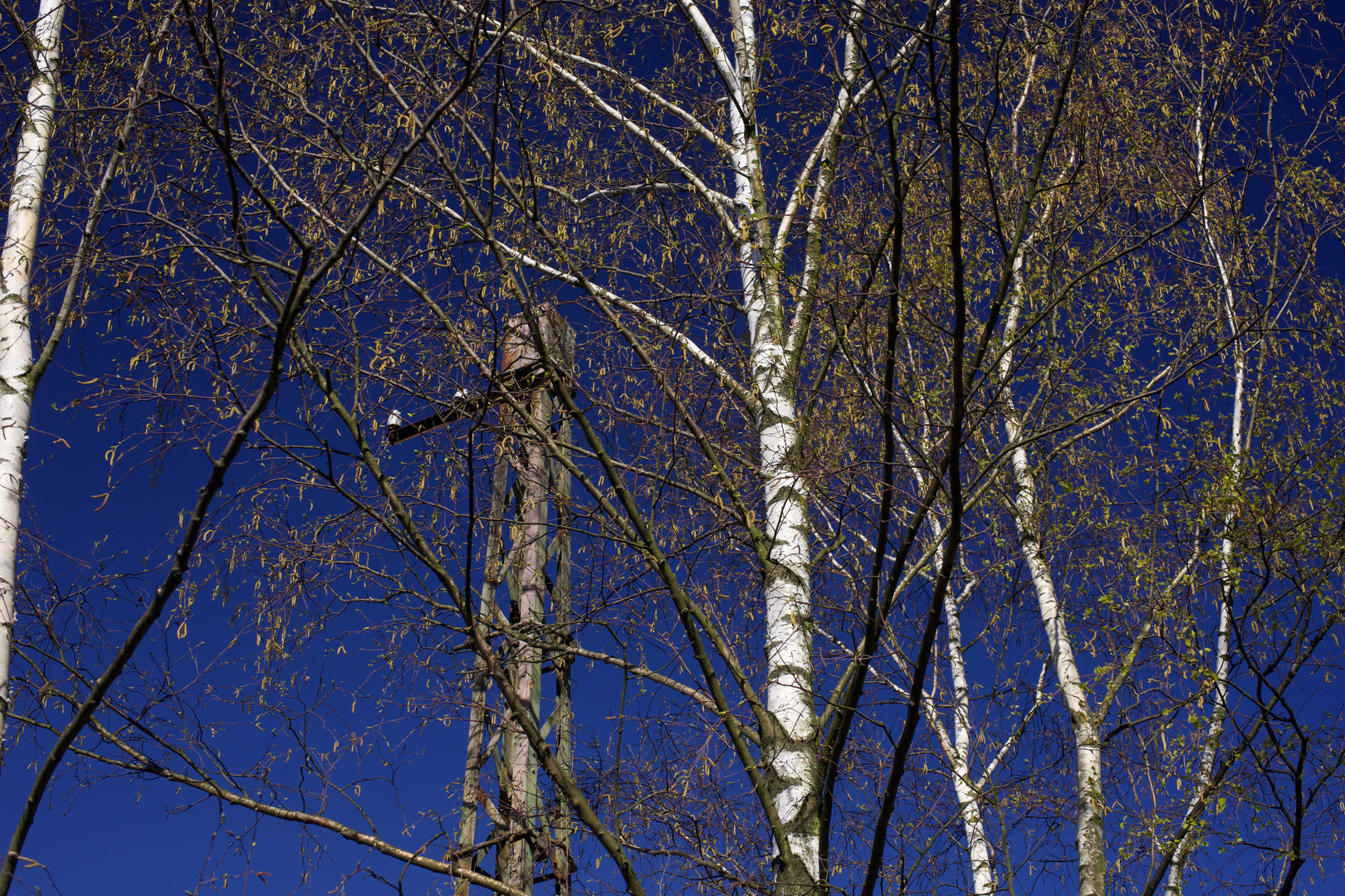 Fahrdrahtmast