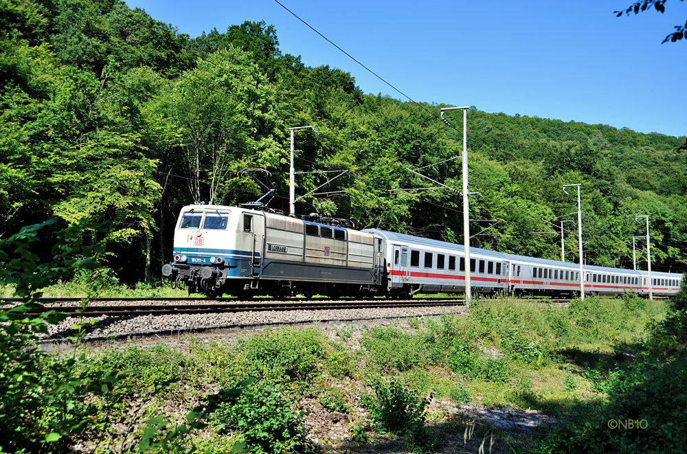 Fahren durch den grünen Sommerwald