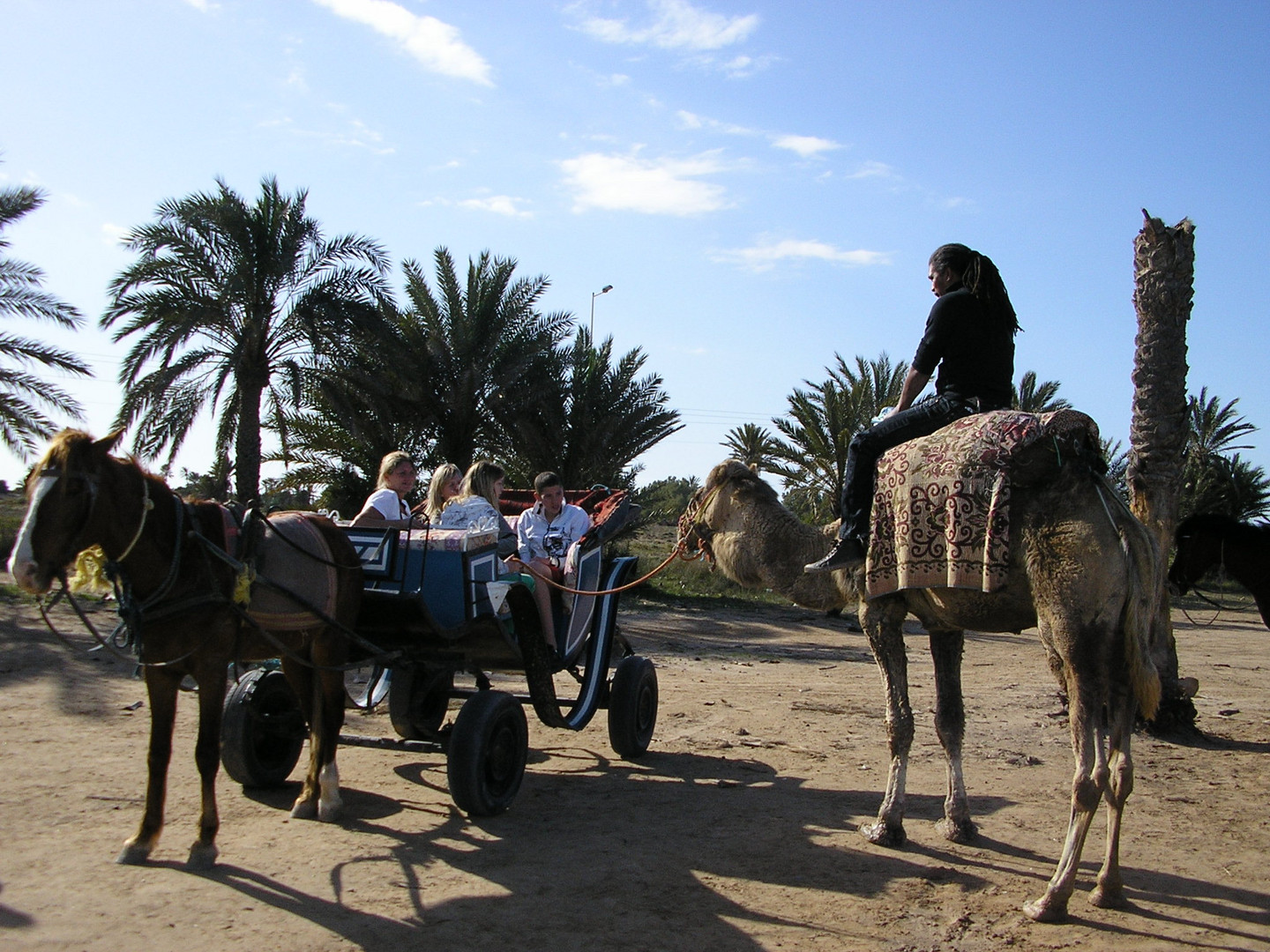 Fahren und Reiten auf Djerba