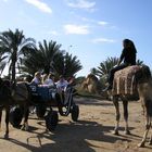 Fahren und Reiten auf Djerba