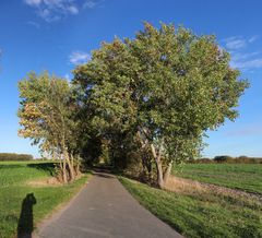 Fahrenkamp  Pano