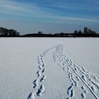 Fahrländer See