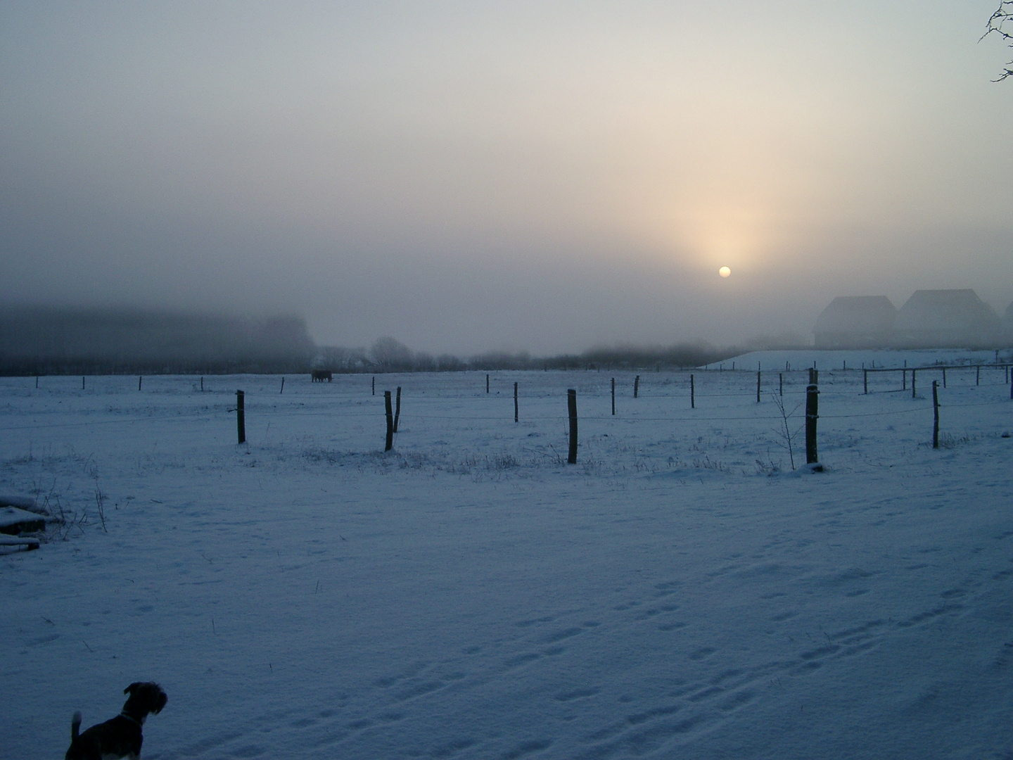 Fahrland im Nebel