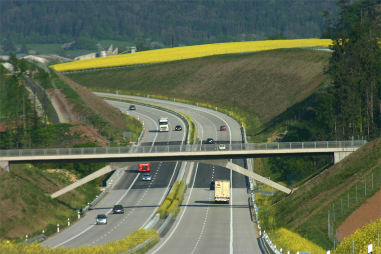 ... fahrn, fahrn, fahrn auf der Autobahn ...