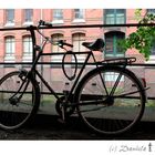 Fahrrad 07