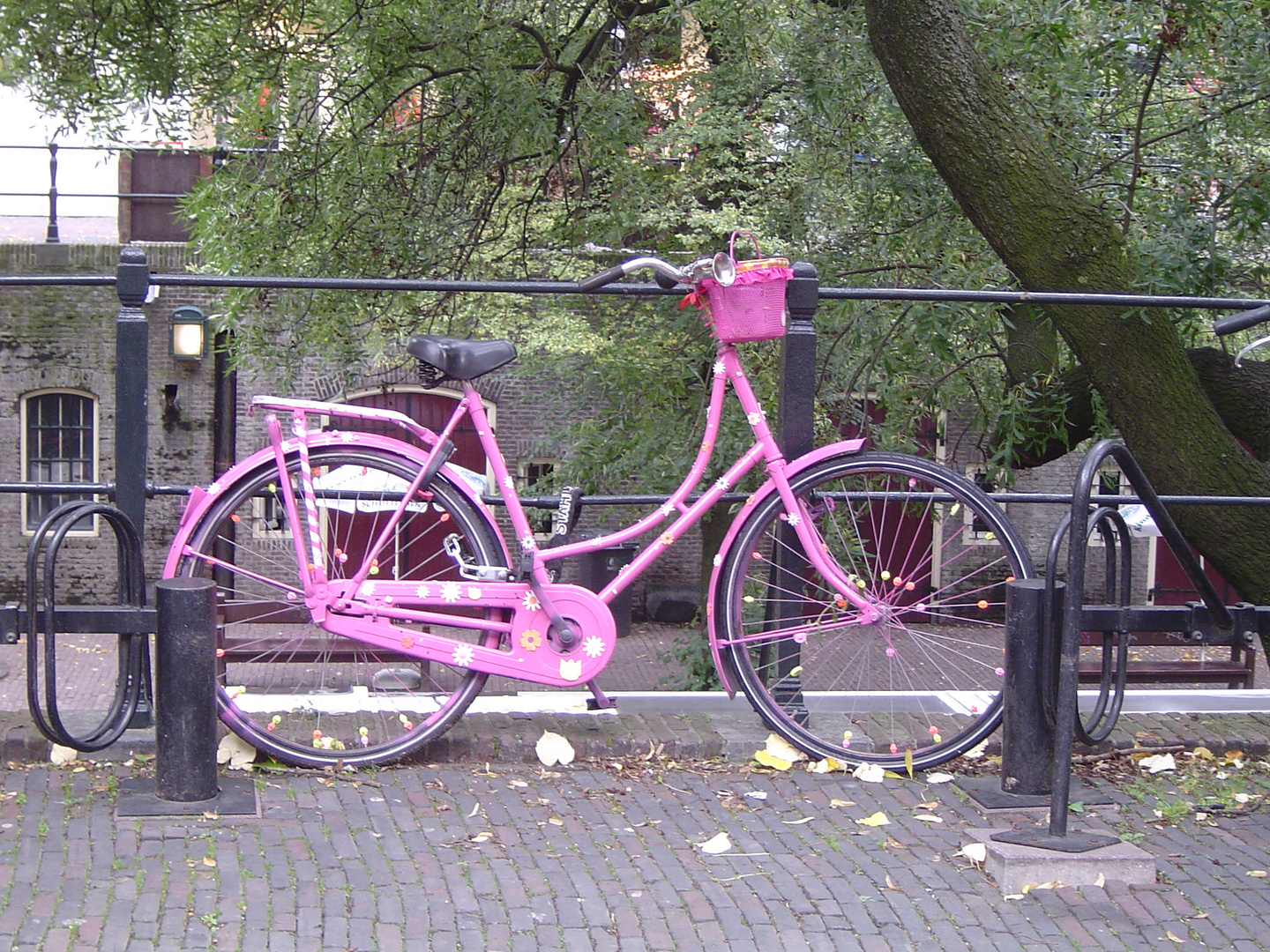 Fahrrad