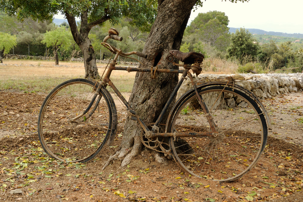 Fahrrad