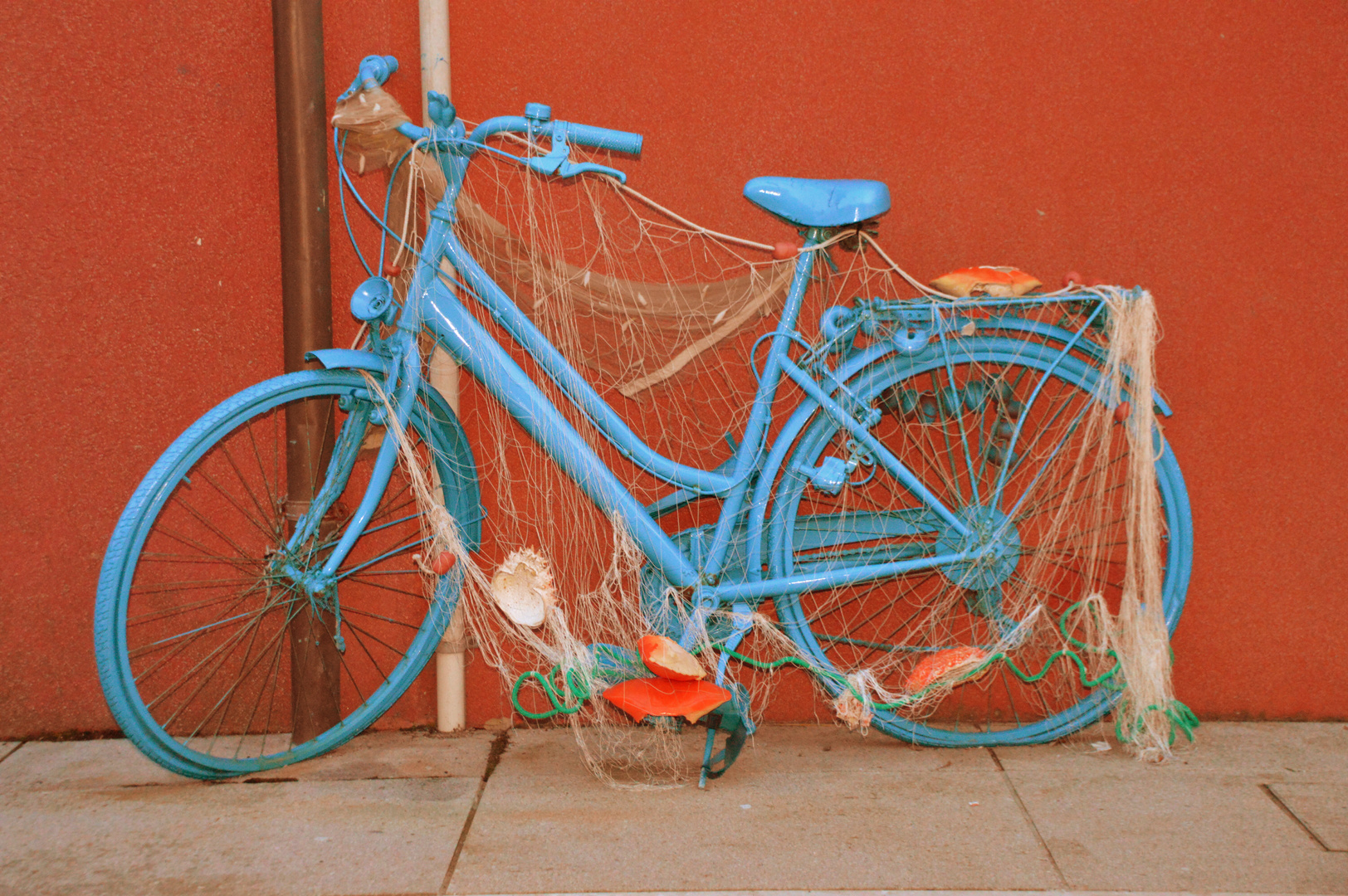 bild mit fahrrad