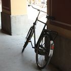 Fahrrad