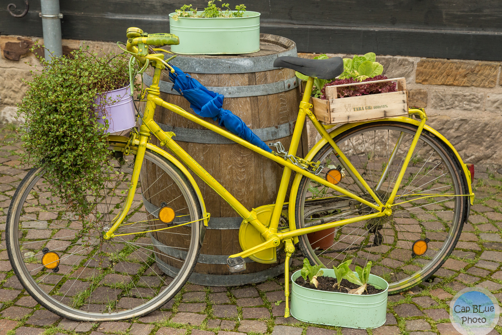 Fahrrad als Pflanzdekoration