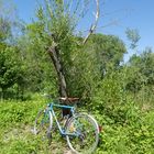 Fahrrad am Baum 2