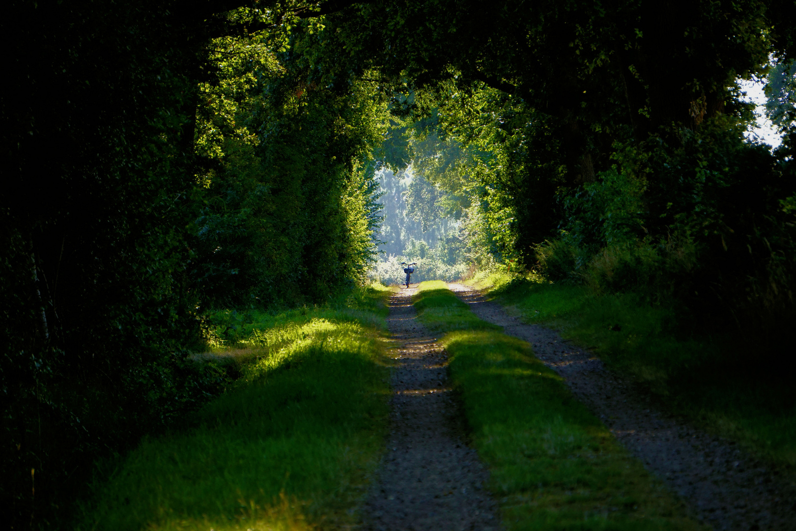 Fahrrad am Ende des Weges