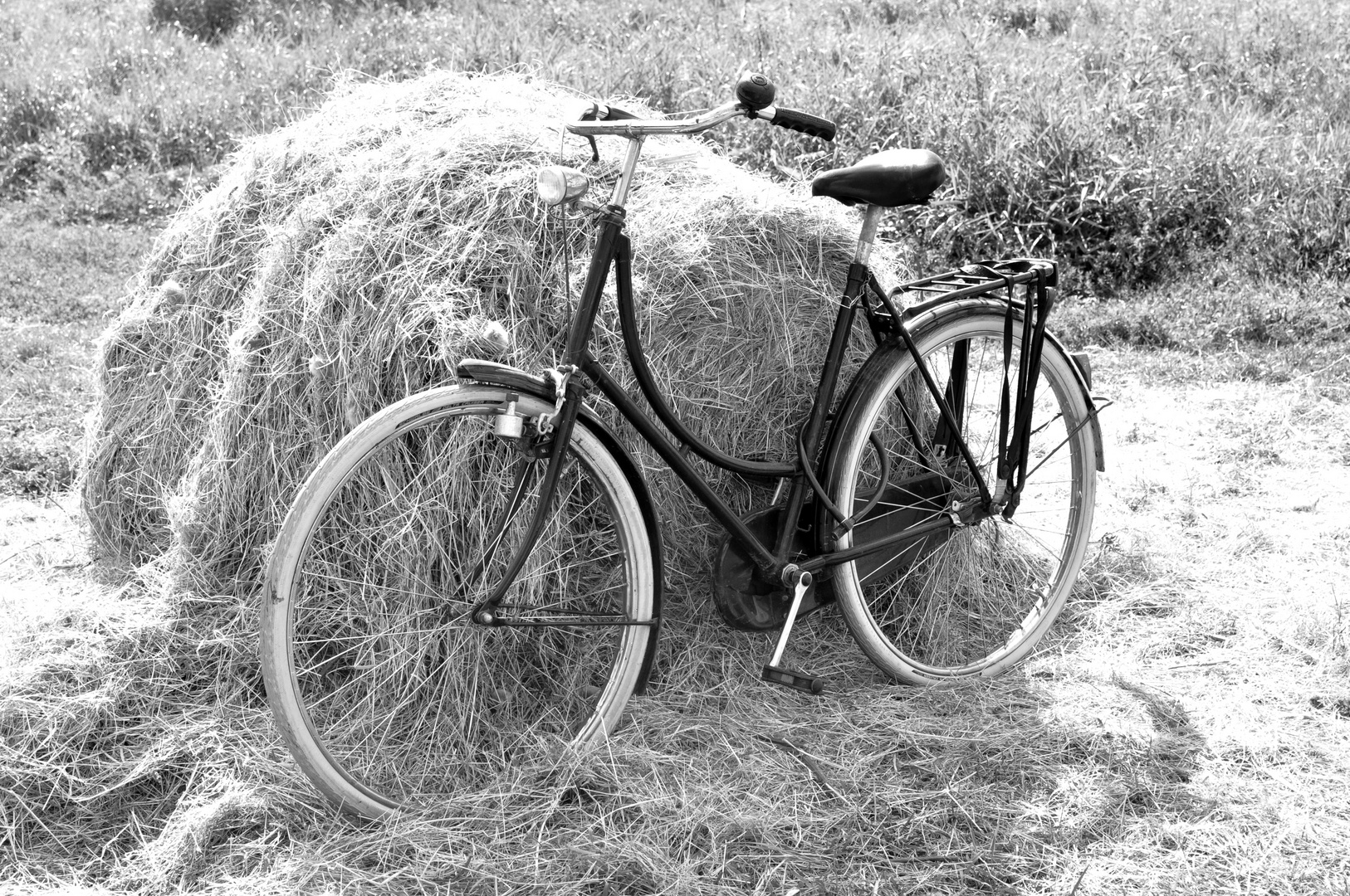 Fahrrad am Heu