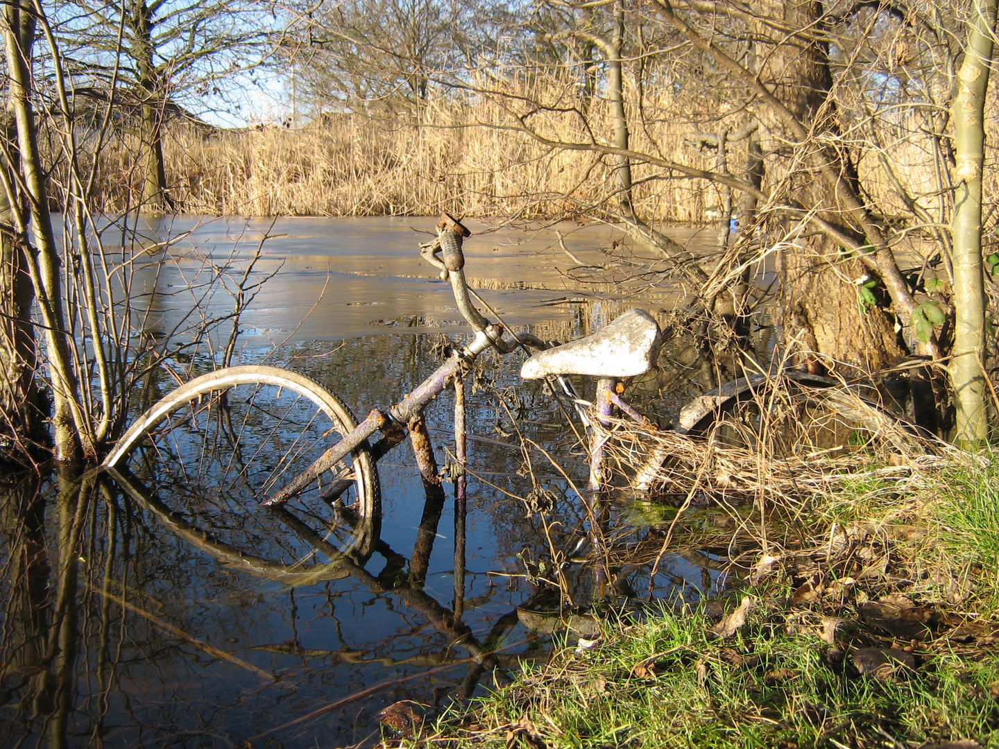 Fahrrad auf Abwegen ! ?