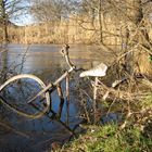 Fahrrad auf Abwegen ! ?