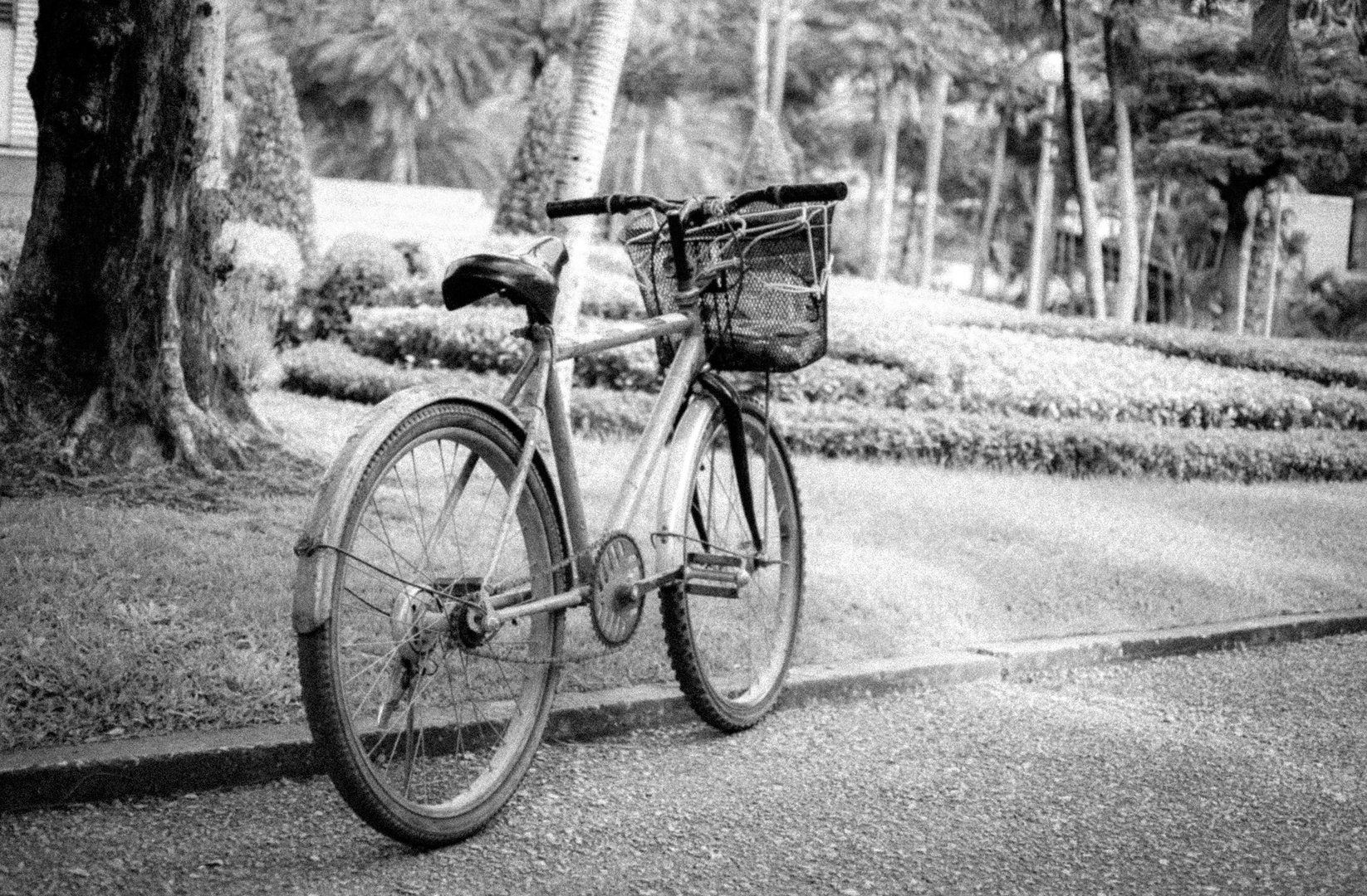 Fahrrad auf Alt