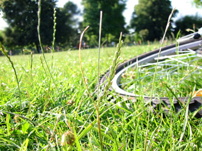 Fahrrad auf Wiese