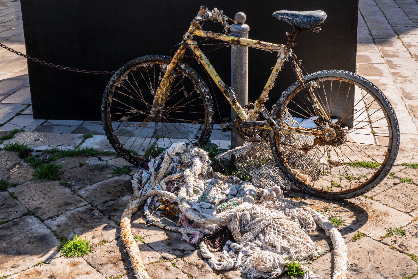 Fahrrad aus dem Hafenbecken