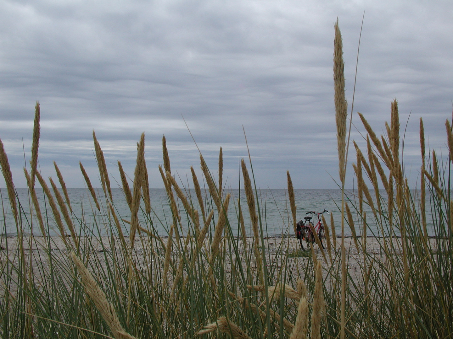 Fahrrad bei trübem Wetter am Strand