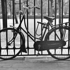 Fahrrad beim Palais Royal, Paris 1979