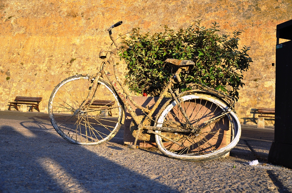 Fahrrad