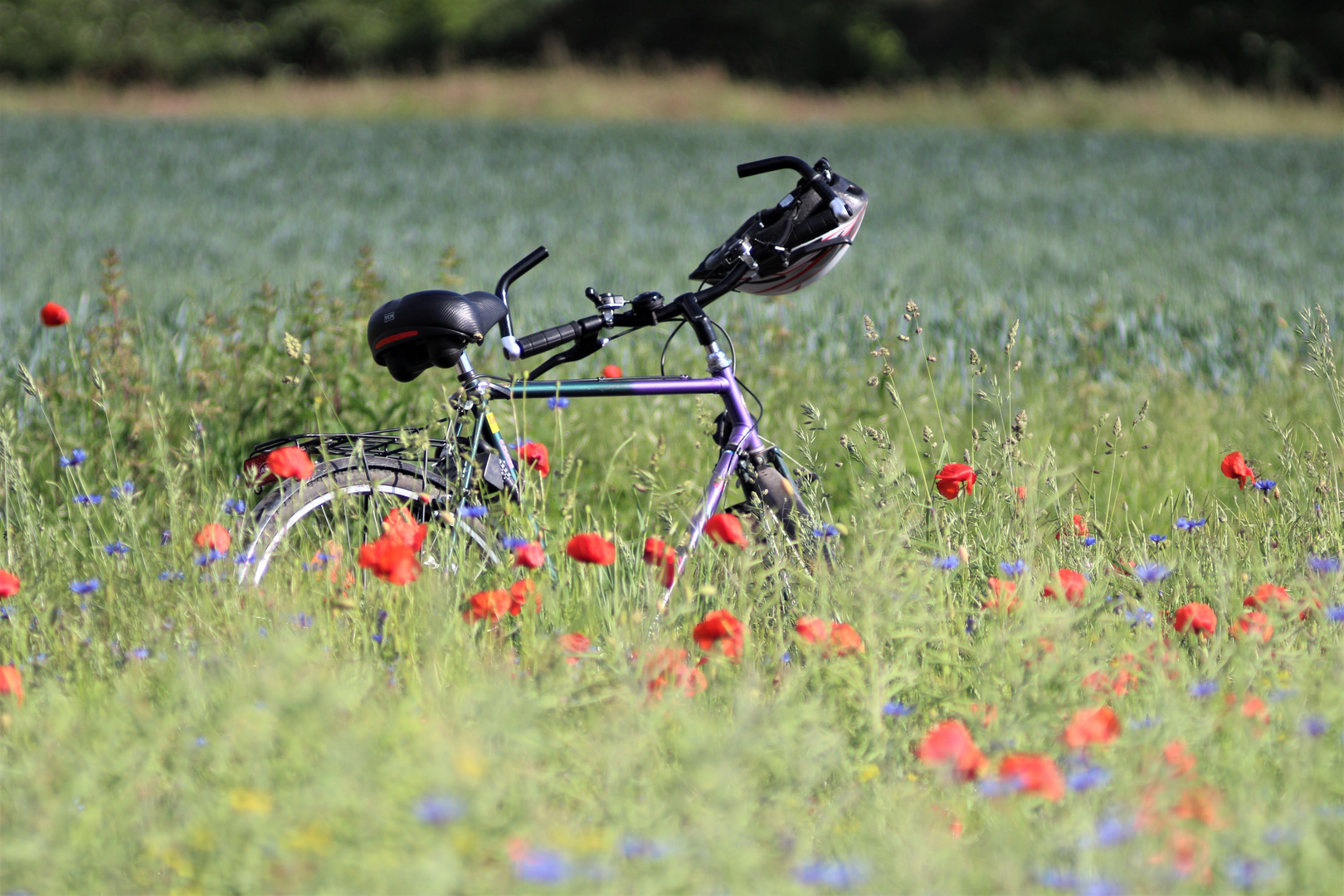 Fahrrad