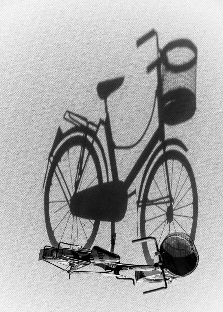 Fahrrad & der co²freie Schatten !