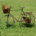 Fahrrad-Design Blume