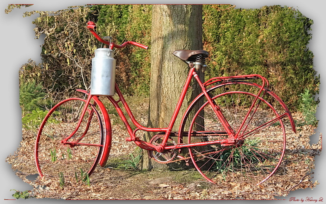 Fahrrad