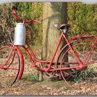 Fahrrad