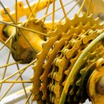 fahrrad, die gelbe reinkarnation # 3860201905021831