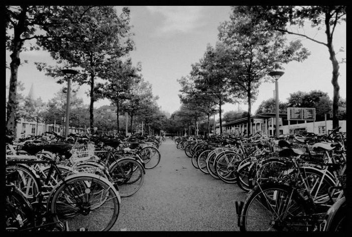 Fahrrad Friedhof