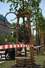 Fahrrad-Gazelle erklimmt den Baum