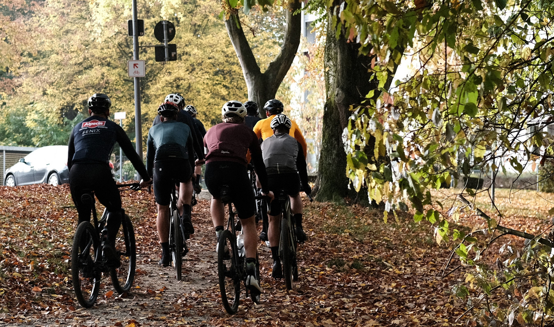 fahrrad herbst