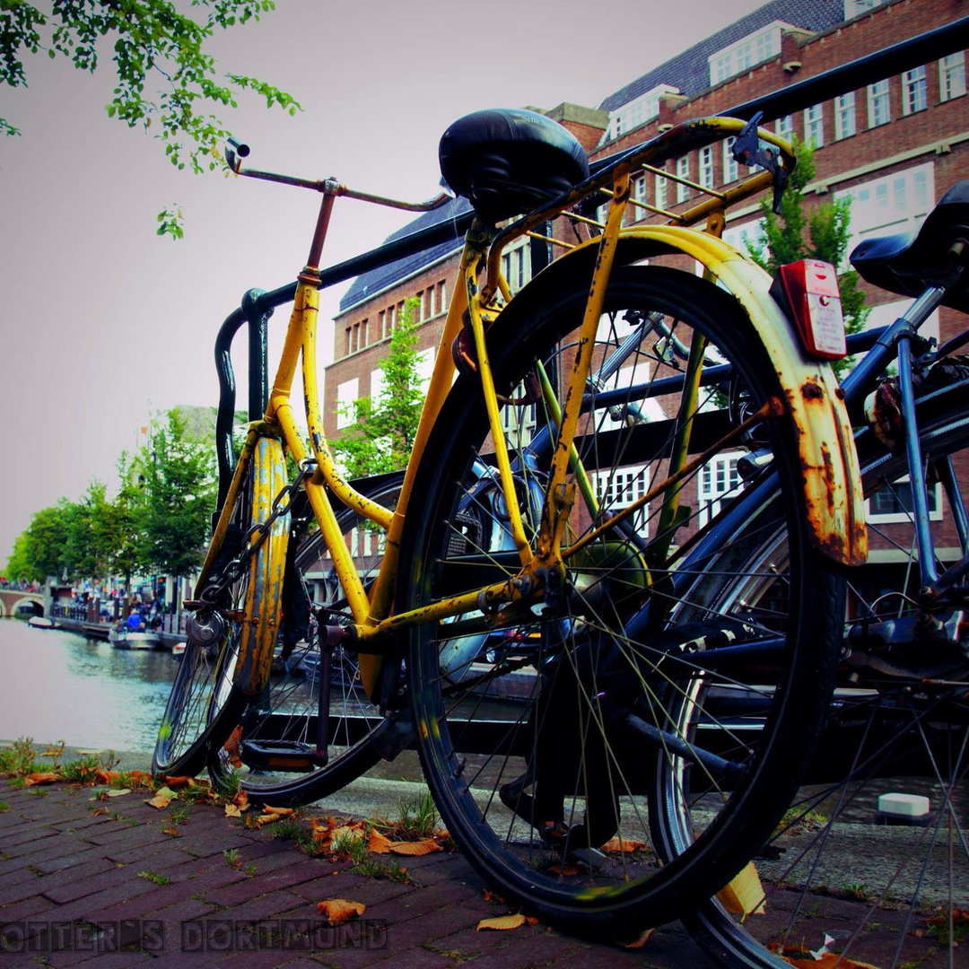 Fahrrad holland