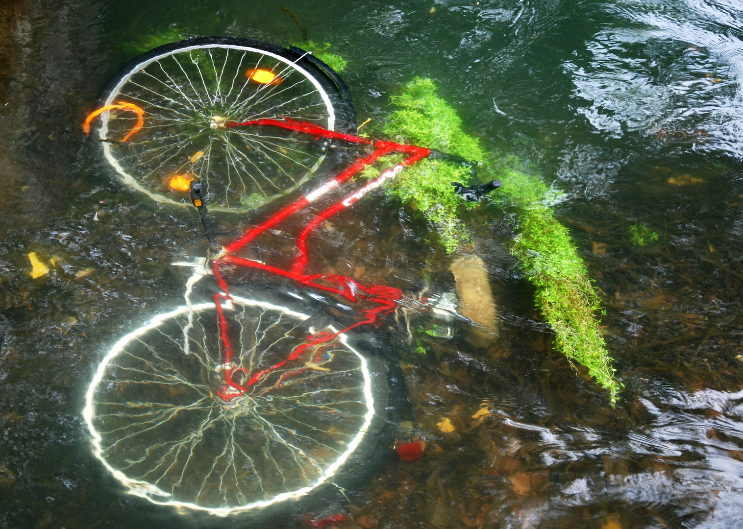 FAHRRAD IM BACH