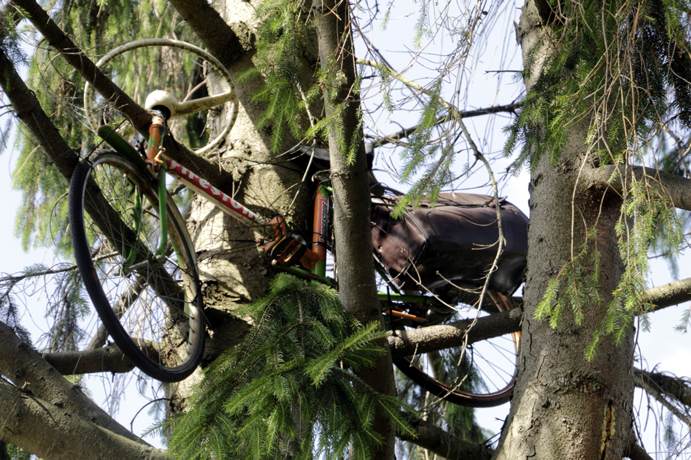 Fahrrad im Baum