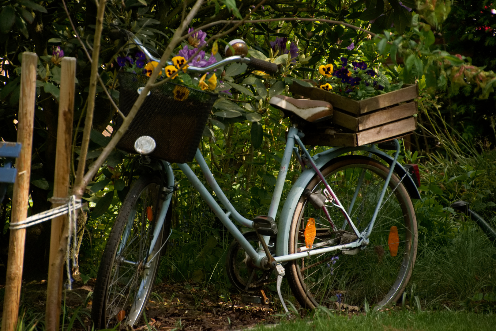 Fahrrad im Garten